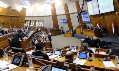 Plenaria de la Cámara de Diputados. Foto: Gentileza.