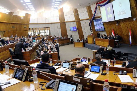 Plenaria de la Cámara de Diputados. Foto: Gentileza.