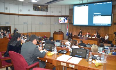 Sesión del Senado. Foto: Gentileza.