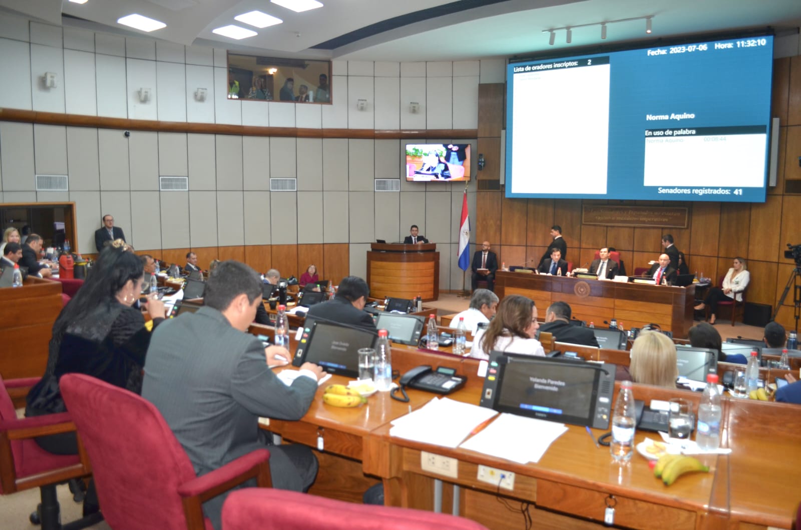 Sesión del Senado. Foto: Gentileza.