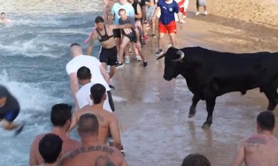 El suceso ocurrió en Denia (Alicante) en el marco de la tercera jornada de la fiesta ‘bous a la mar’. Foto: Infobae.