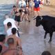 El suceso ocurrió en Denia (Alicante) en el marco de la tercera jornada de la fiesta ‘bous a la mar’. Foto: Infobae.