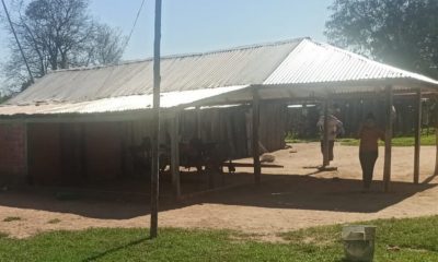 Niña muere tras ser baleada por desconocidos en San Pedro del Paraná. Foto: gentileza