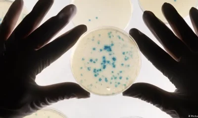 Bacteria. Foto: DW.