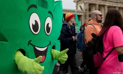 El proyecto de ley para legalizar el cannabis enfrenta críticas tanto de políticos en contra como de partidarios de la legalización. Foto:D W.