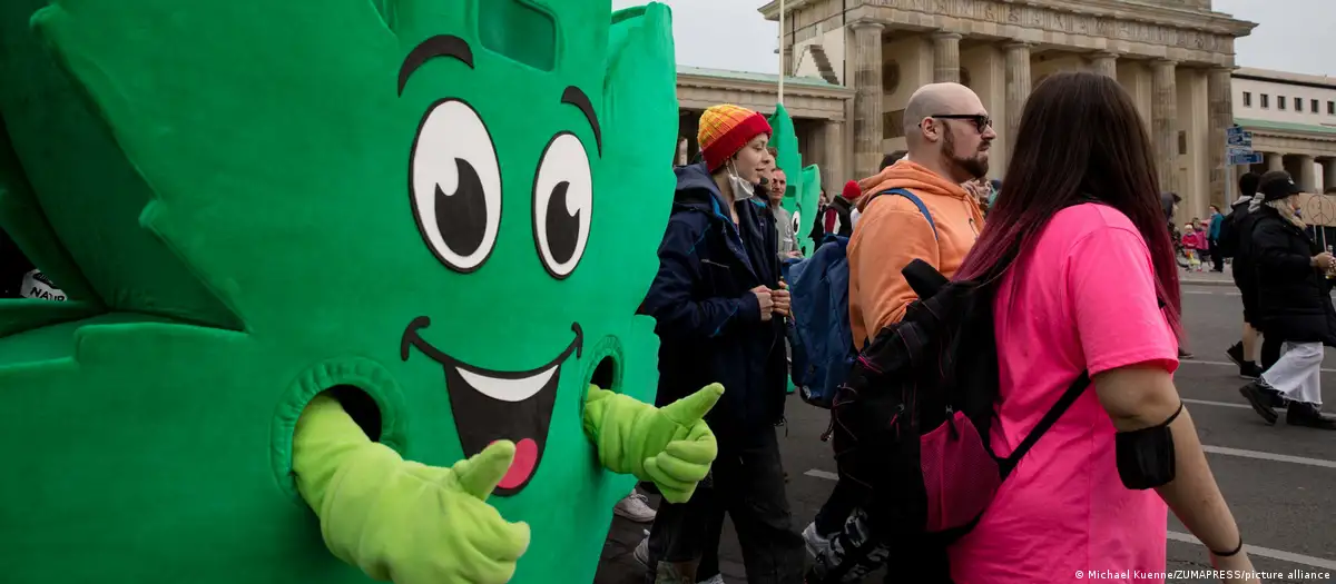 El proyecto de ley para legalizar el cannabis enfrenta críticas tanto de políticos en contra como de partidarios de la legalización. Foto:D W.