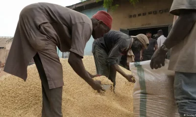 Un hombre empaqueta granos en un mercado de Nigeria. Foto: DW.