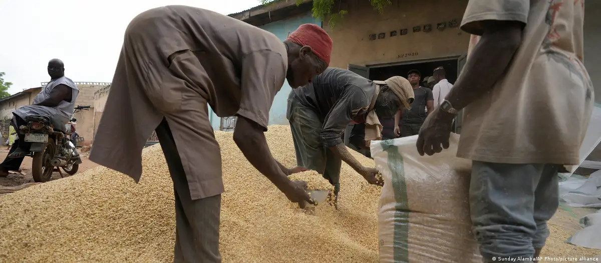 Un hombre empaqueta granos en un mercado de Nigeria. Foto: DW.