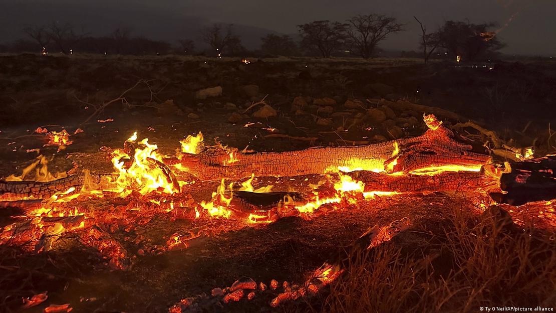 Incendios en Kihei, Hawái. Foto: DW.