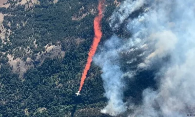 Incendio forestal. Foto referencial. DW.