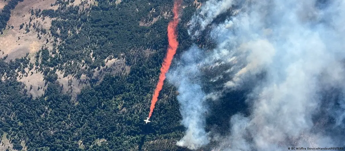 Incendio forestal. Foto referencial. DW.