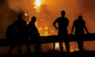 Incendio forestal. Foto: DW.