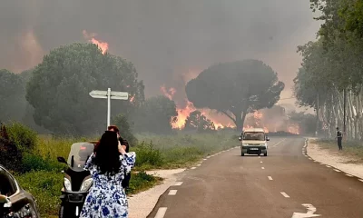 Incendio forestal en Pirineo, Francia. Foto: Euronews.