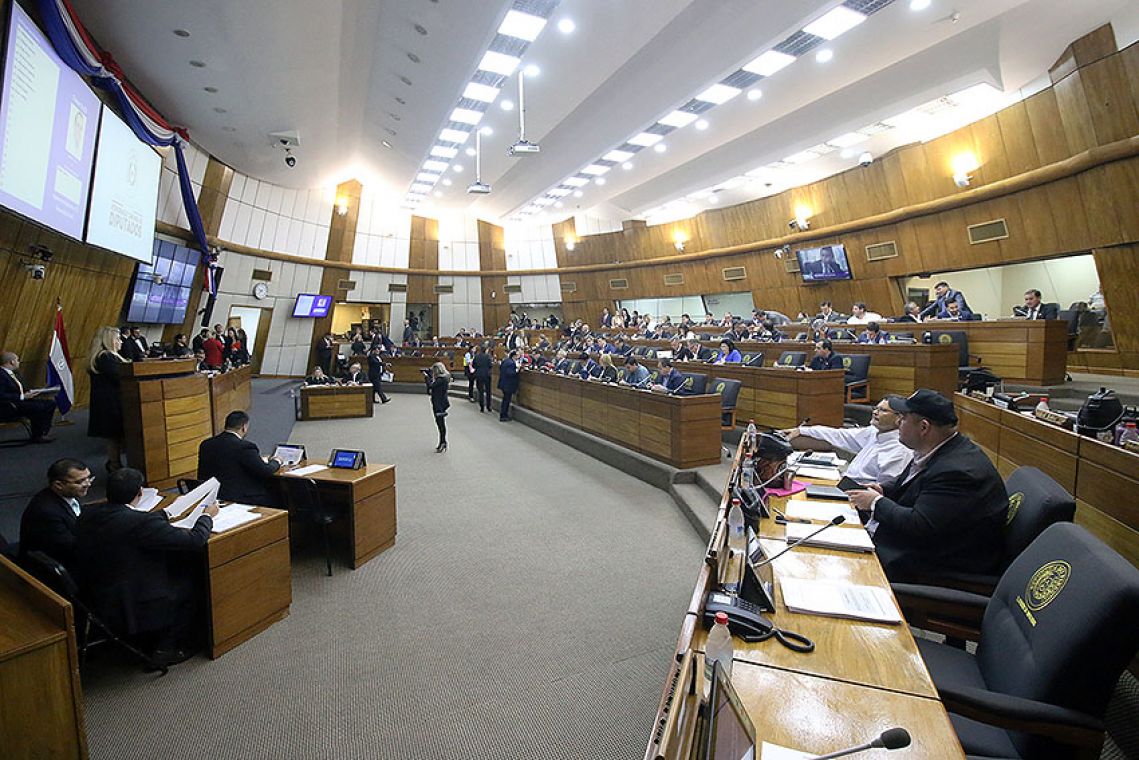 Camara de Diputados. Foto: Gentileza.