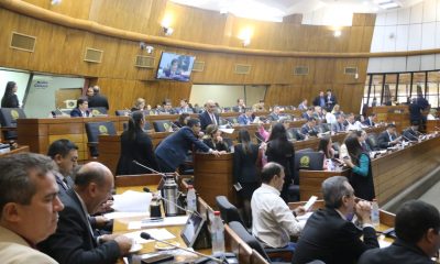 Sesión de la Cámara de Diputados. Foto: Gentileza.