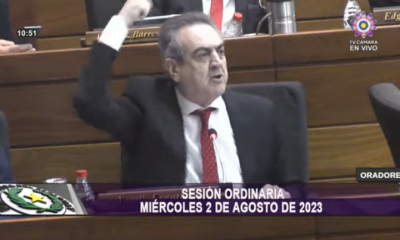 Yamil Esgaib en la sesión ordinaria de Diputados. Foto: Gentileza.