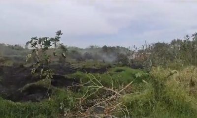 Incendio forestal en Capiatá. Foto: Redes.