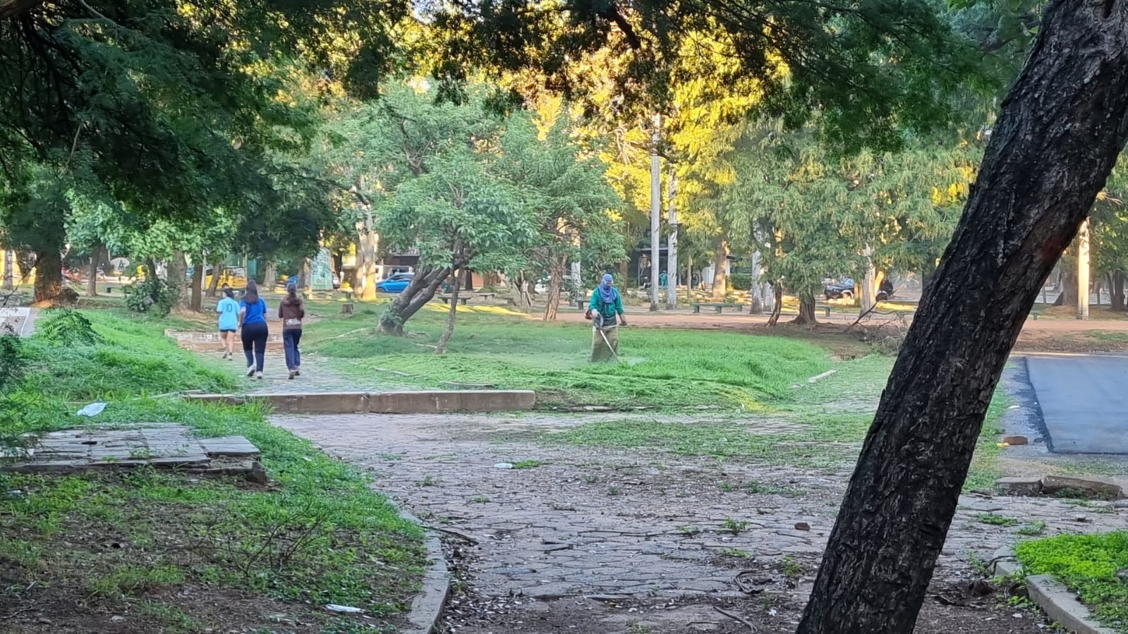 Restauración del Parque Caballero. Foto: gentileza.