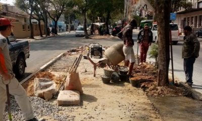 Hermoseamiento de la avenida Carlos Antonio López. Foto: Municipalidad de Asunción.