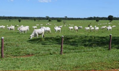 Foto: Valoragro.