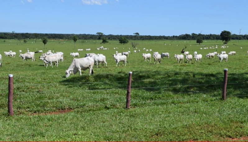 Foto: Valoragro.