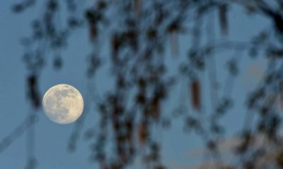 Super luna azul. Foto: National Geographic.