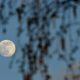 Super luna azul. Foto: National Geographic.