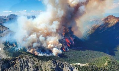 Incendio forestal. Foto referencial. BBC.