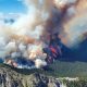 Incendio forestal. Foto referencial. BBC.