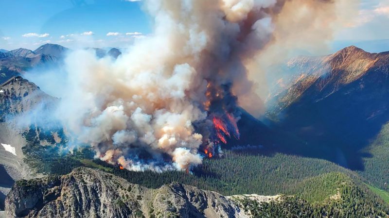 Incendio forestal. Foto referencial. BBC.