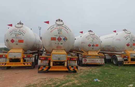 Camiones paraguayos retenidos en Argentina. Foto: Gentileza.