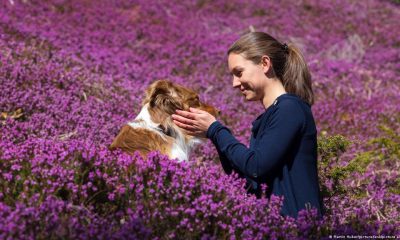 Perro junto a una mujer. Foto: DW.