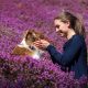 Perro junto a una mujer. Foto: DW.