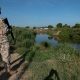 Un soldado dominicano vigila desde la orilla del río Masacre, una frontera natural con Haití. Foto: DW.