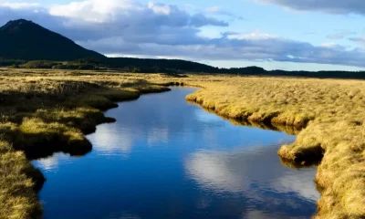 El Parque Karukinka en la Patagonia Chilena. Foto referencial. DW.