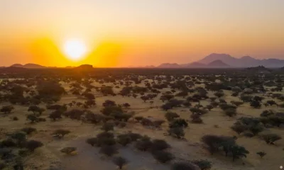 Vista aérea de una puesta de sol sobre la maleza, provincia de Namibe, Virei, Angola. Foto:DW.