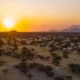 Vista aérea de una puesta de sol sobre la maleza, provincia de Namibe, Virei, Angola. Foto:DW.