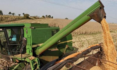 Agricultura. Foto: Gentileza.