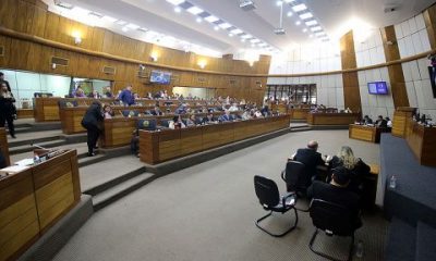 Sesión de la Cámara de Diputados. Foto: Gentileza.