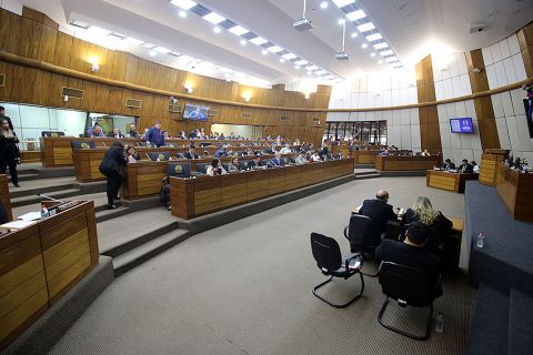 Sesión de la Cámara de Diputados. Foto: Gentileza.