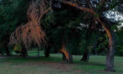 Fotografía de Francene Keery. Cortesía