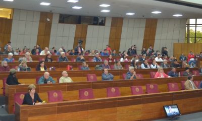 Audiencia pública en el Congreso. Foto: Gentileza.