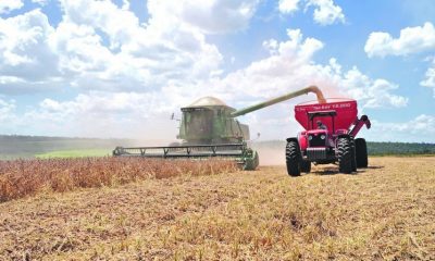 Producción agrícola. Foto: Gentileza.