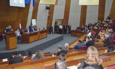 Audencia pública en el Congreso. Foto. Gentileza.