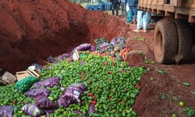 Fiscalía entierra alimentos de contrabando. Foto: Ministerio Público.