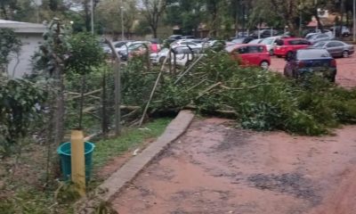 Destrozos y árboles caídos dejó la tormenta. Foto: Ñanduti.