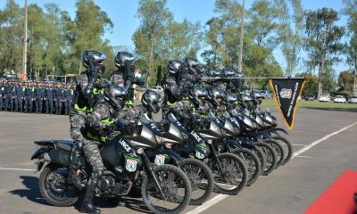 Agentes del Grupo Lince. Foto: Archivo.