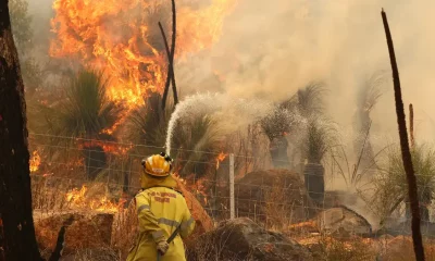 Incendio forestal en Australia. Foto: DW.