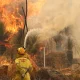 Incendio forestal en Australia. Foto: DW.