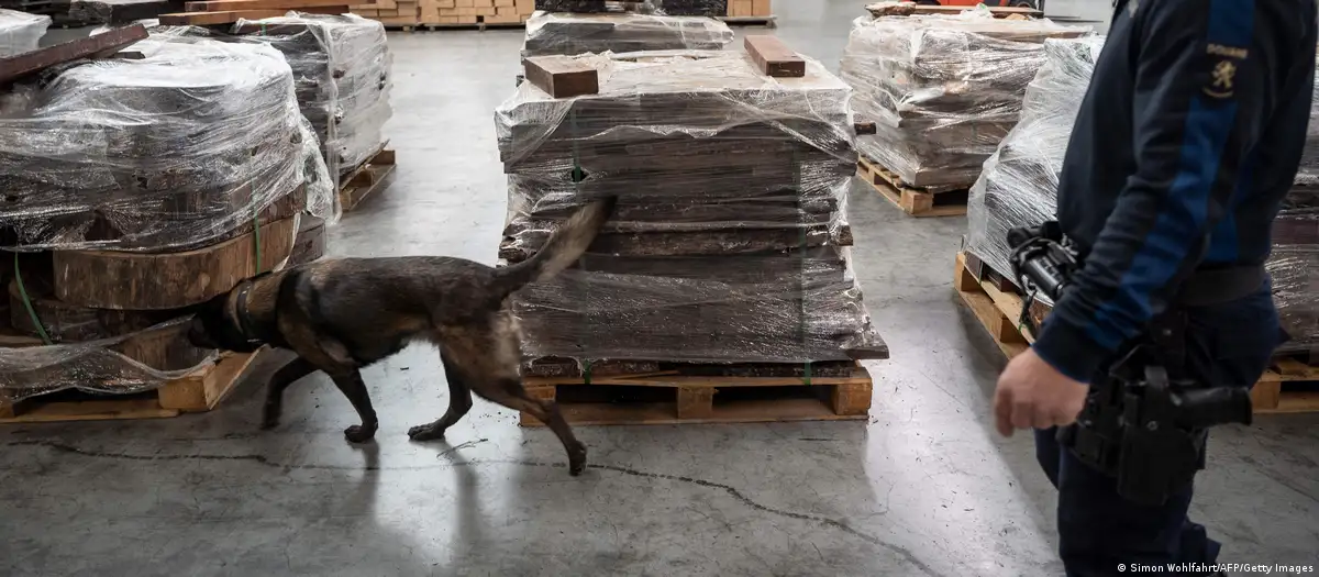 Un policía nerlandés de aduanas y su perro inspeccionan mercancías a la búsqueda de drogas ilegales en el puerto de Rotterdam. Imagen del 3 de noviembre de 2022. Foto: DW.